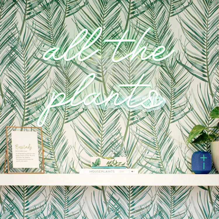 New & Featured Products