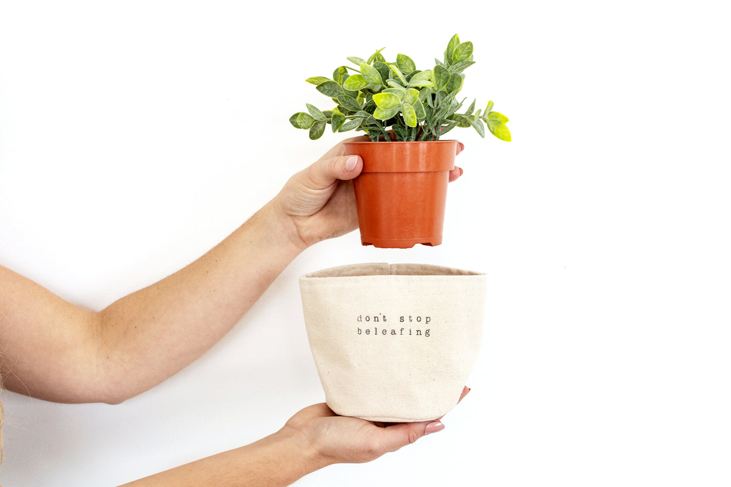 Don't Stop Be Leafing Planter