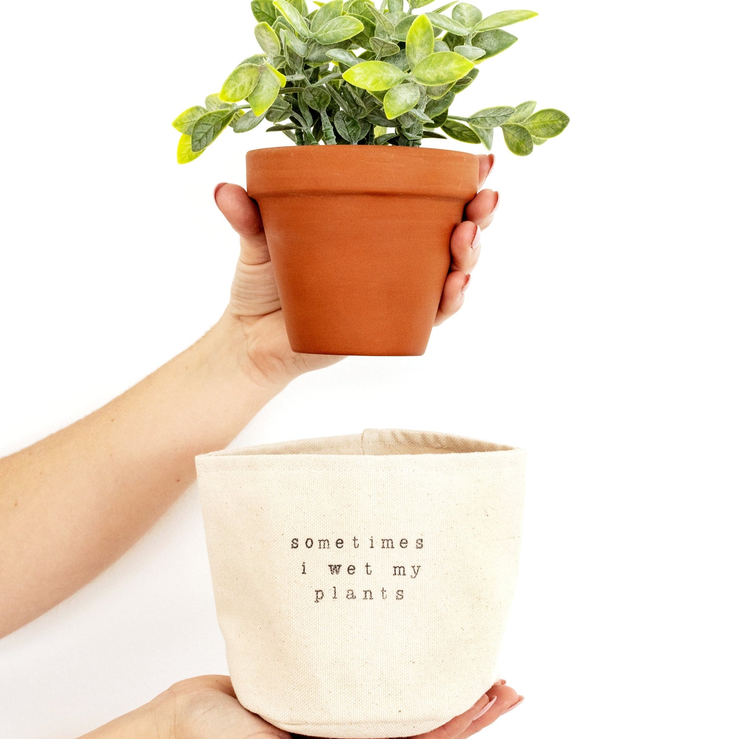 Sometimes I wet my plants planter