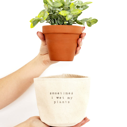 Sometimes I wet my plants planter