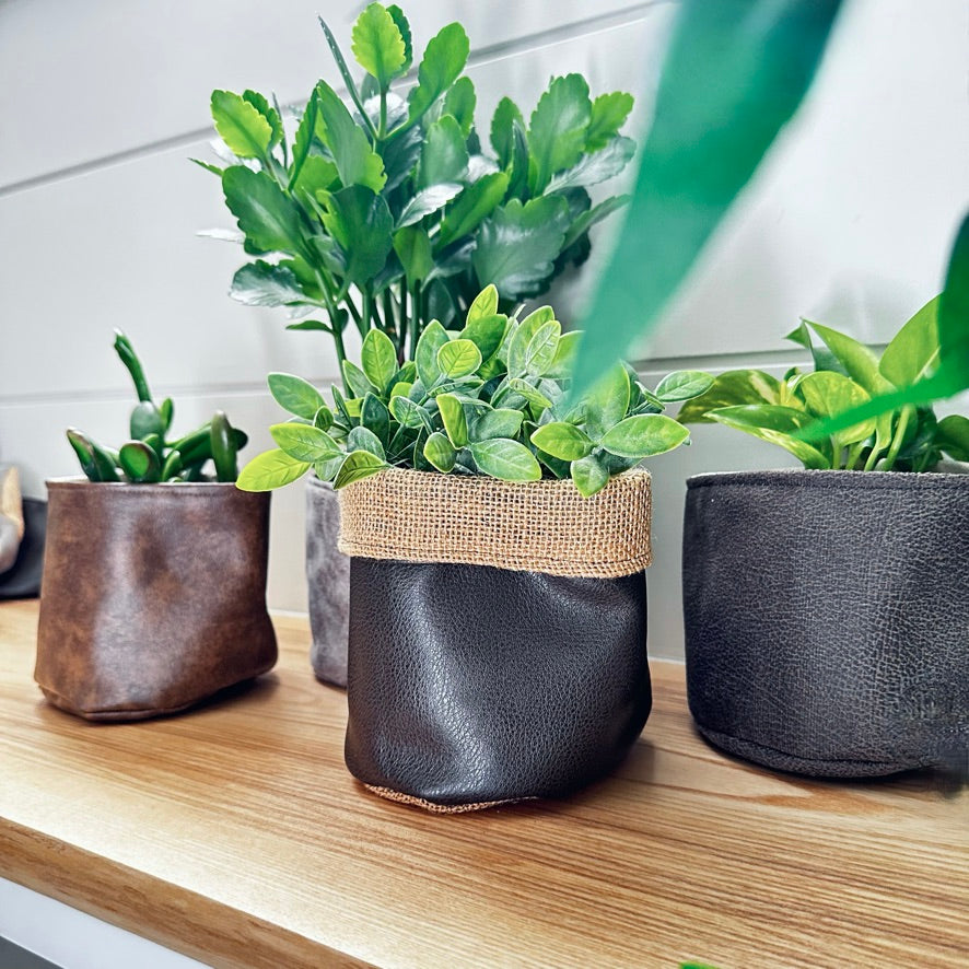 4" Dark Chocolate Cuffed Plant Pot Cover