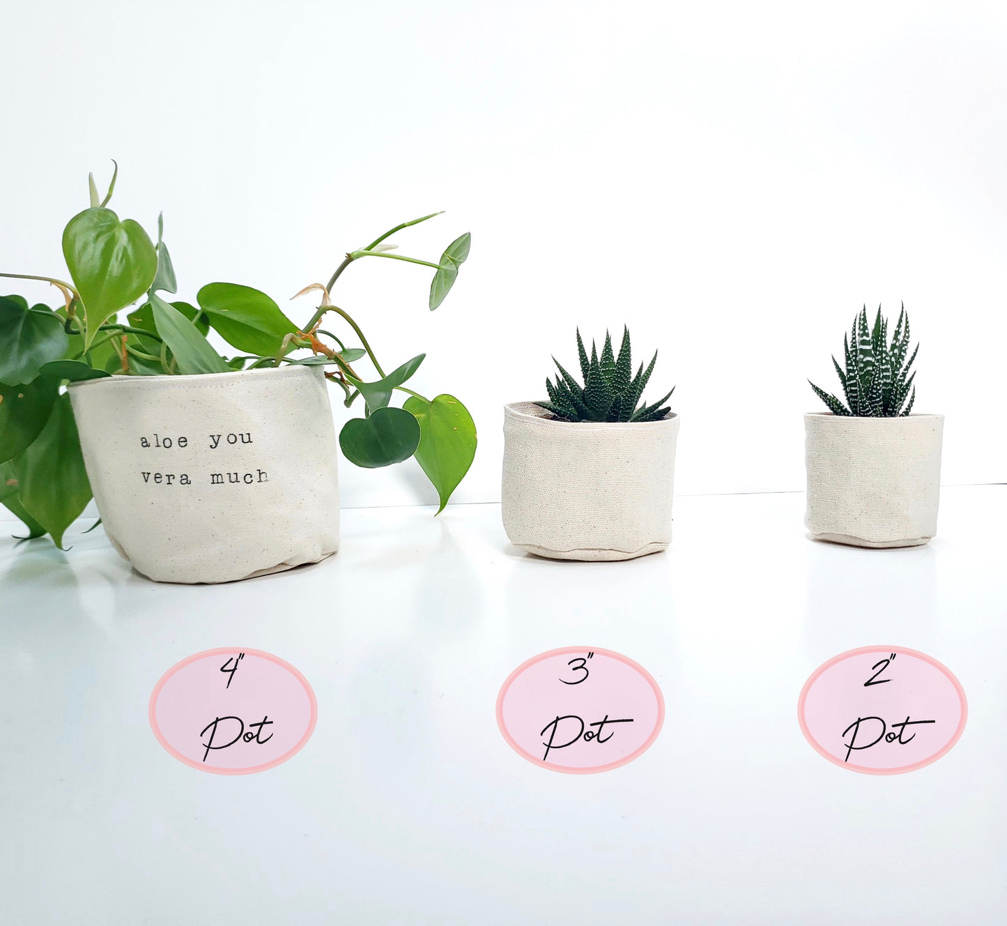 2"  Just Keep Growing