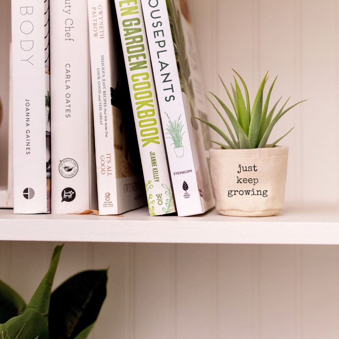 2"  Just Keep Growing