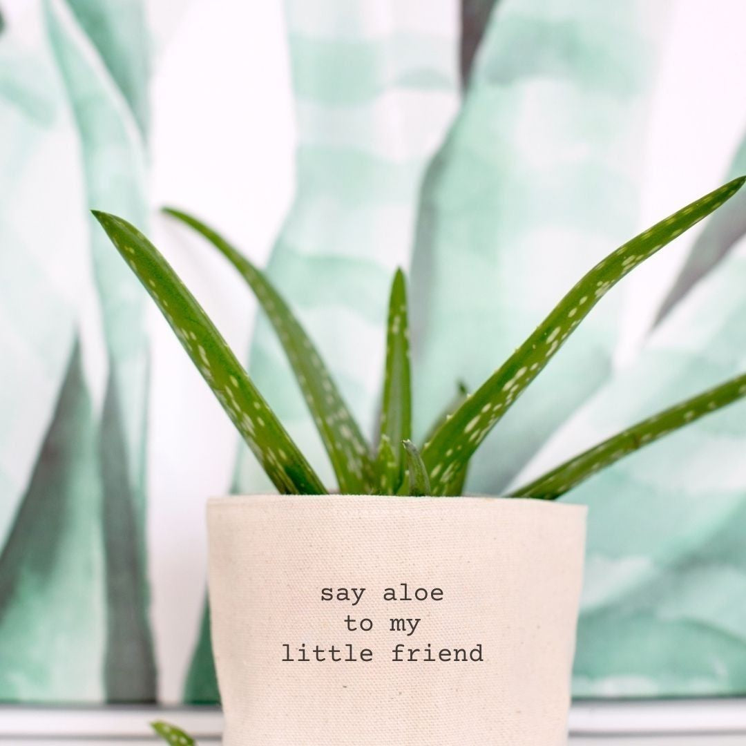 Say Aloe to My Little Friend Canvas Planter – Leaf & Root Co