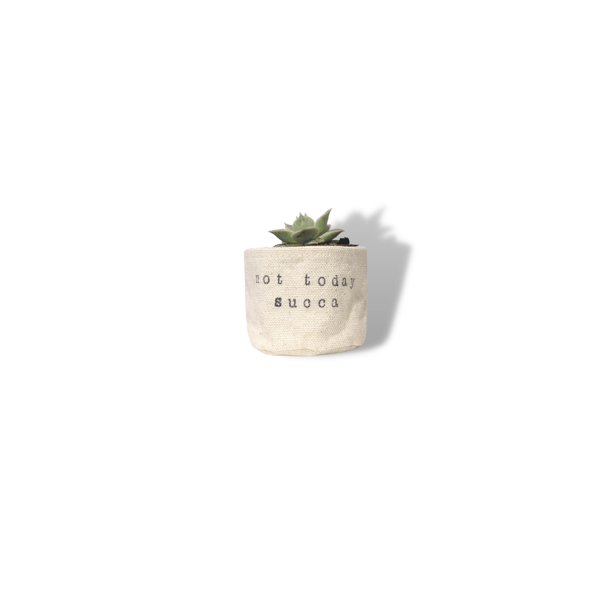 Wholesale 2" Not today succa