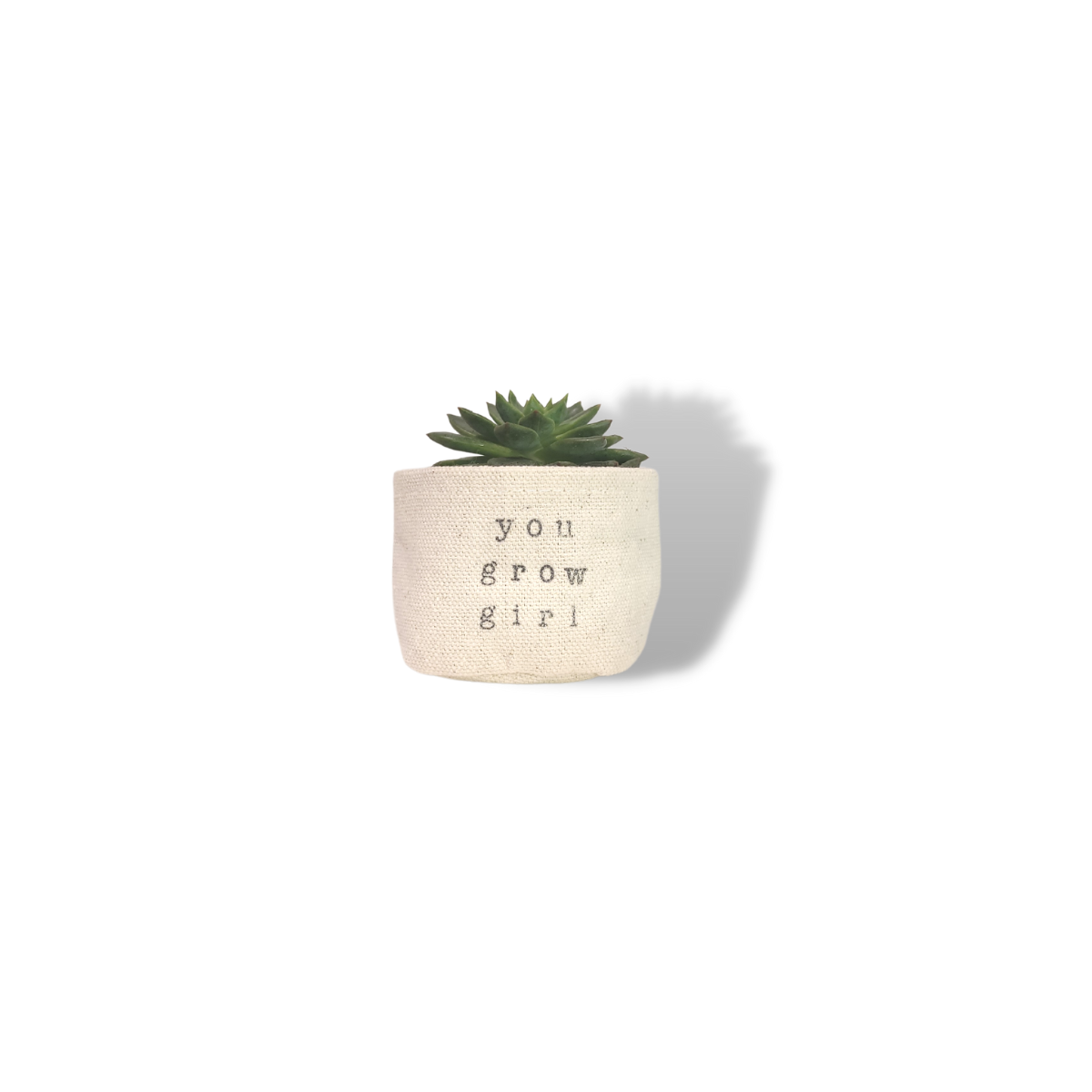 Wholesale 2" You Grow Girl