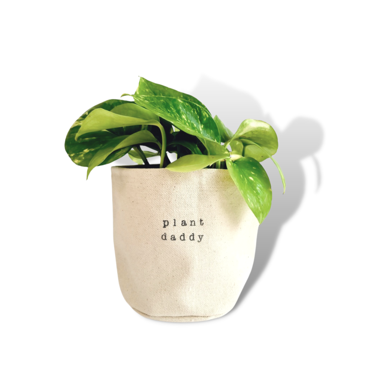 Plant Daddy Planter