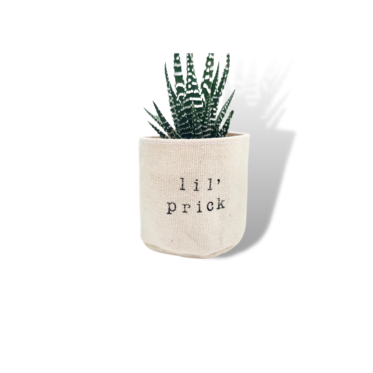 Wholesale 2" Lil' Prick