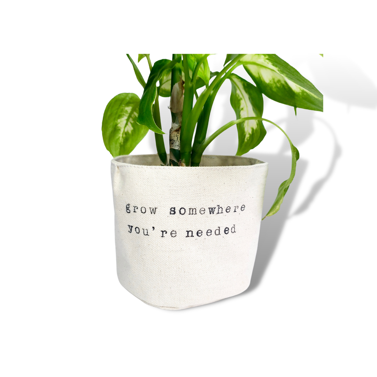 Grow Somewhere You're Needed Planter