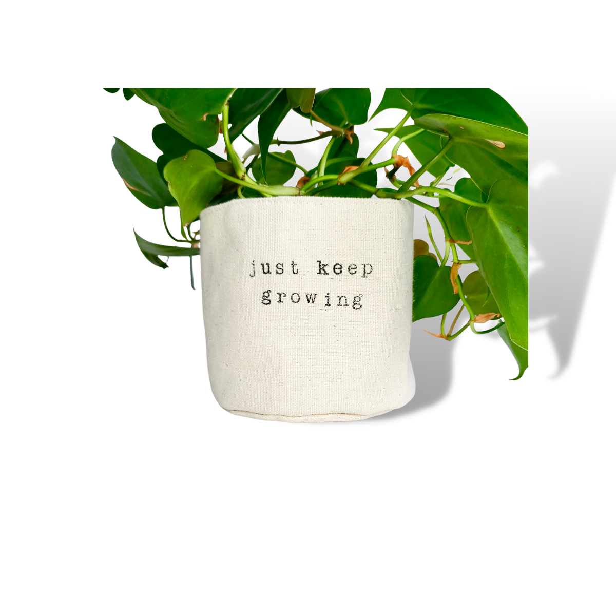 Just Keep Growing Planter