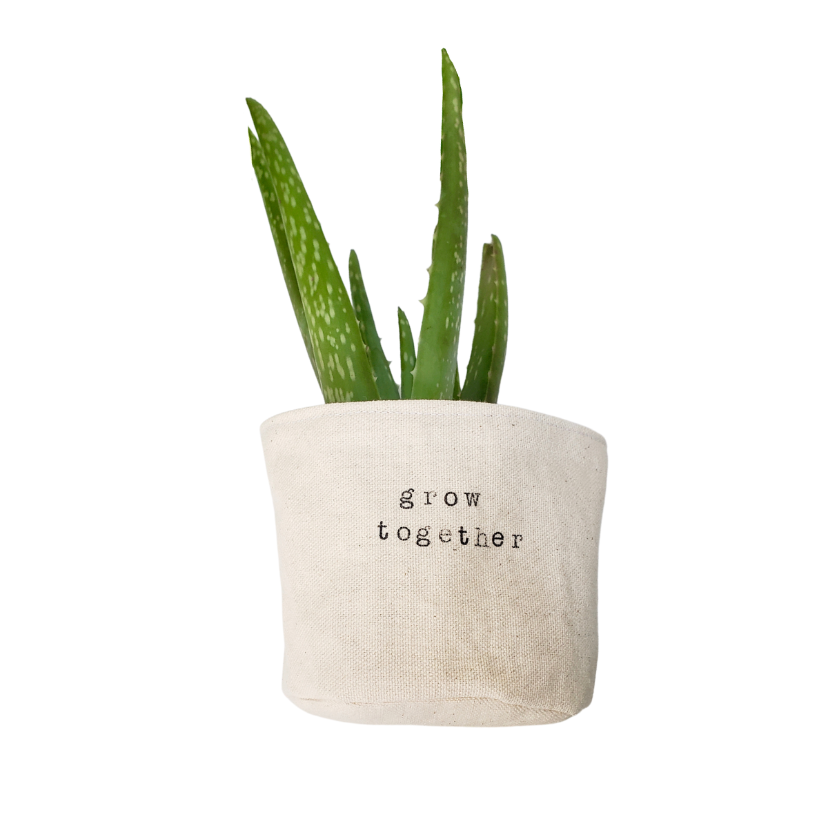 Grow Together Planter