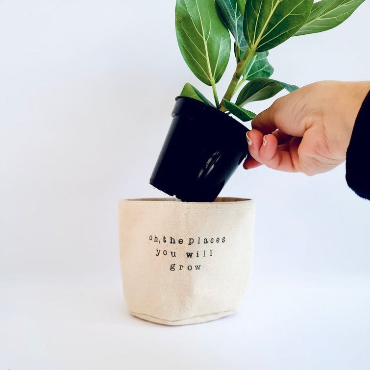 Oh, the places you will grow Planter