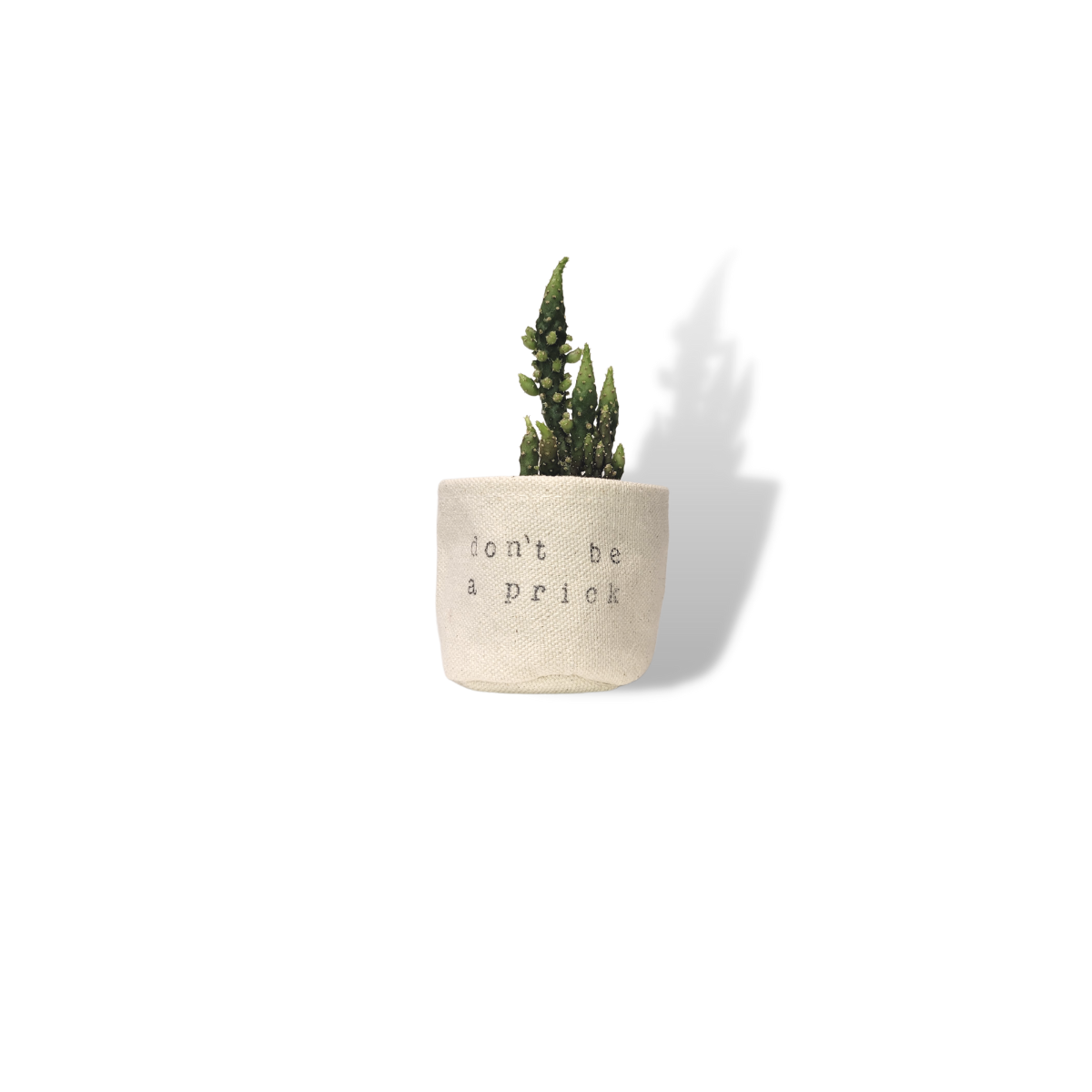 Wholesale 2" Don't be a prick