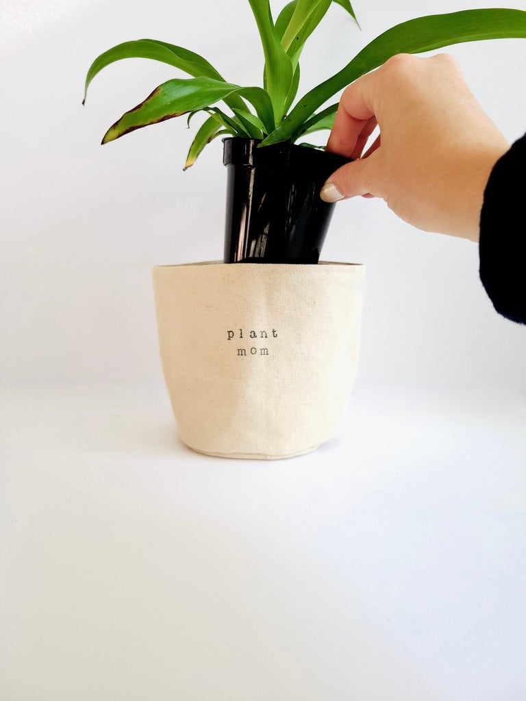 4" Plant (add with 4" planter)