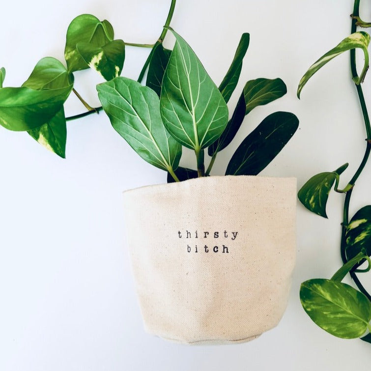 Thirsty bitch Planter