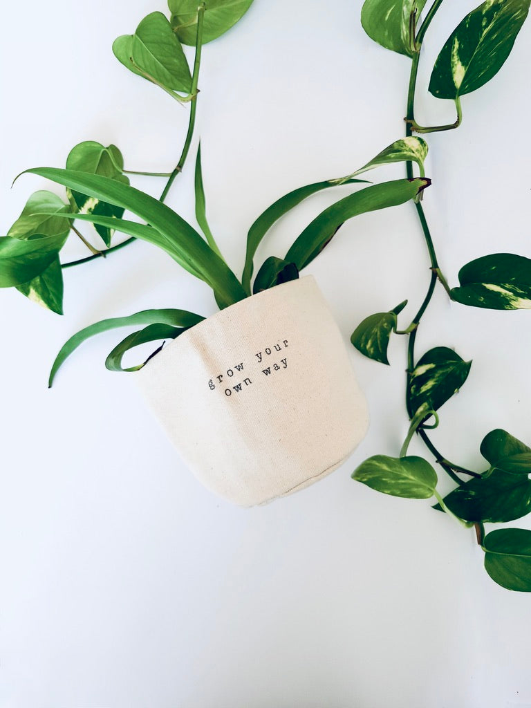 Grow your own way Planter