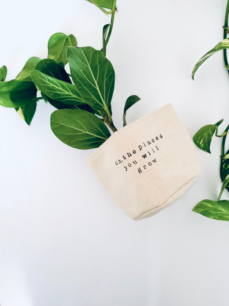Oh, the places you will grow Planter