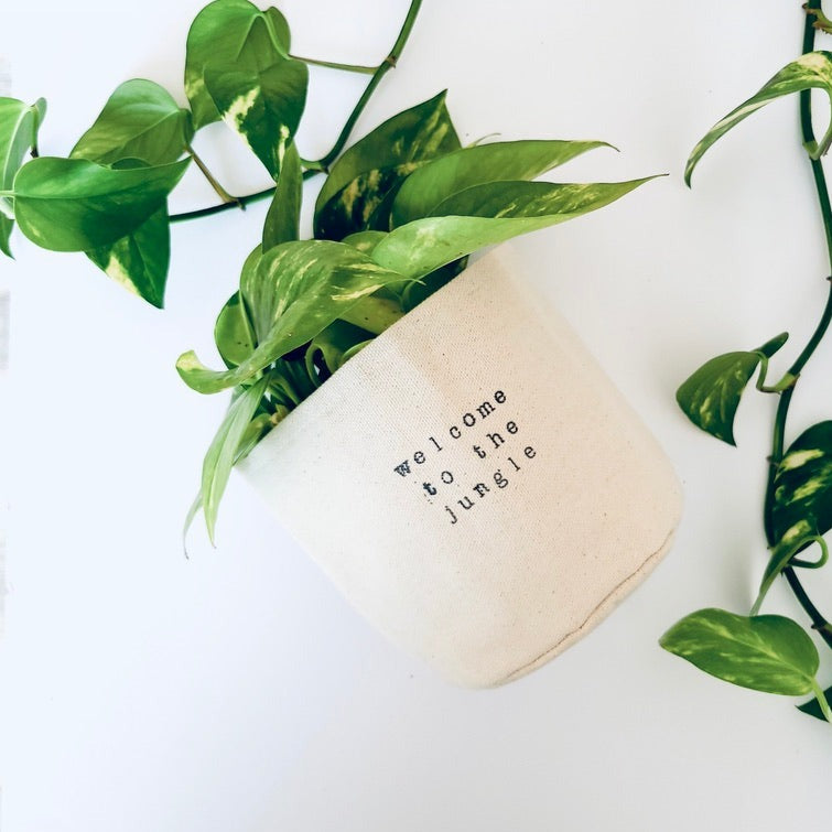 Welcome to the jungle Planter