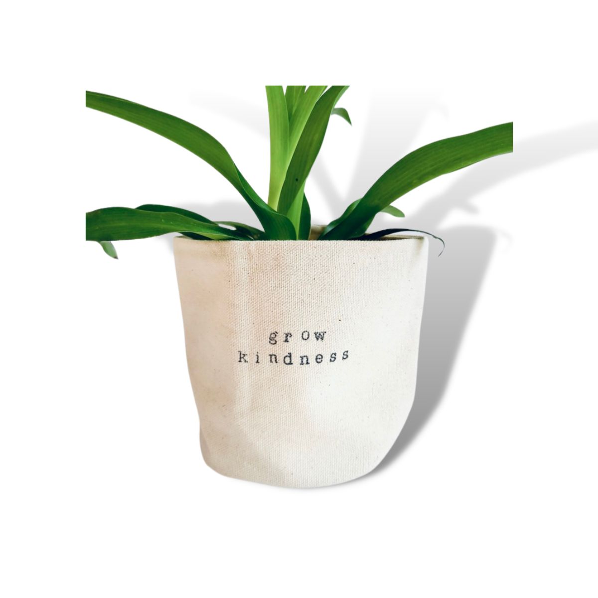 Wholesale Grow Kindness Planter