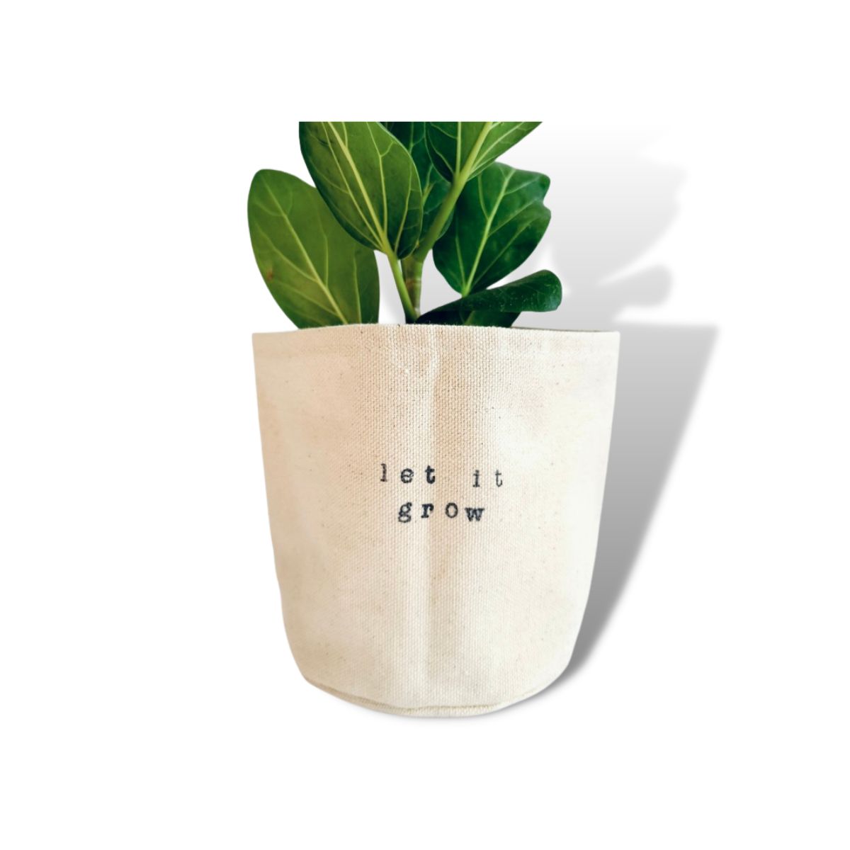 Wholesale Let it Grow Planter