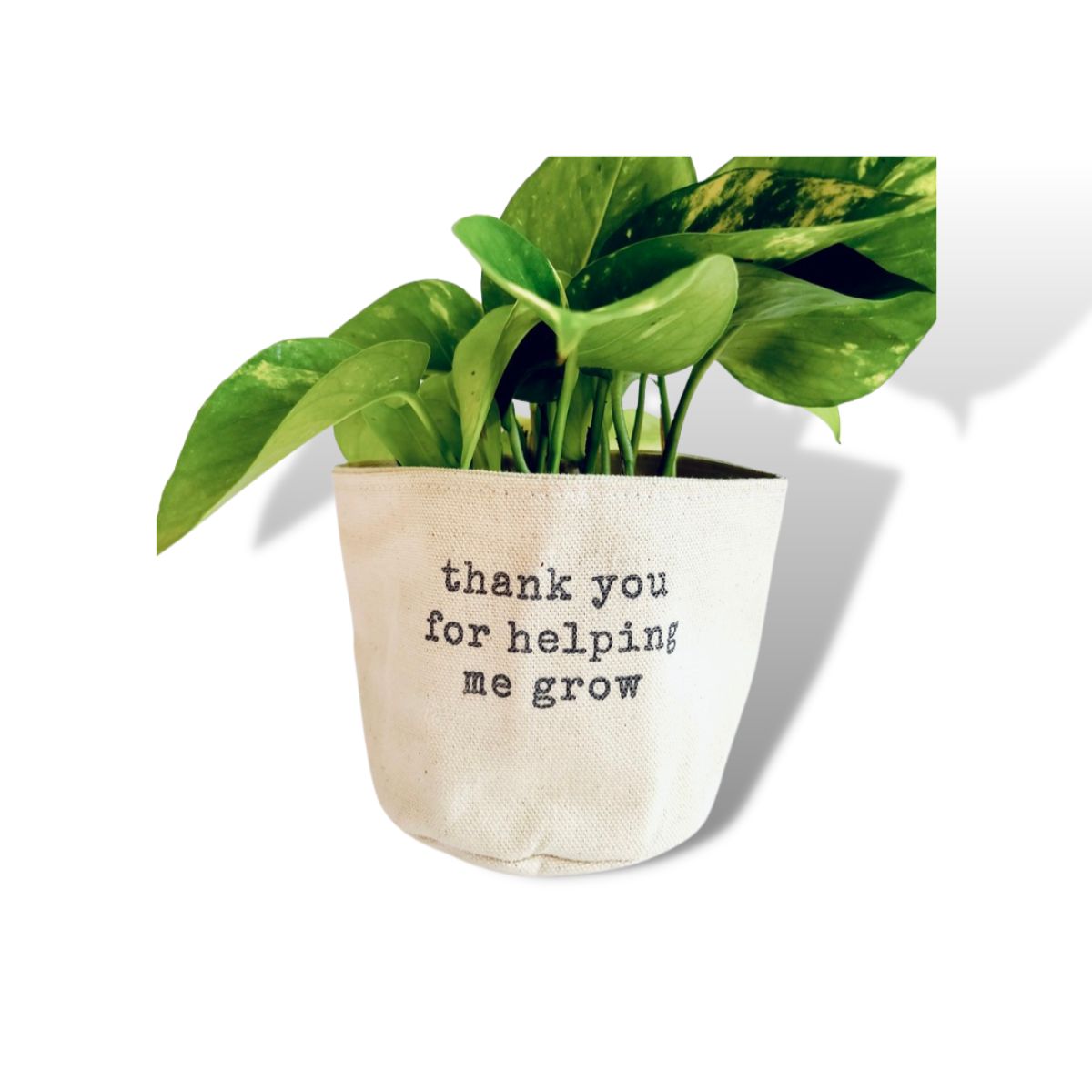 Wholesale Thank You For Helping Me Grow Planter