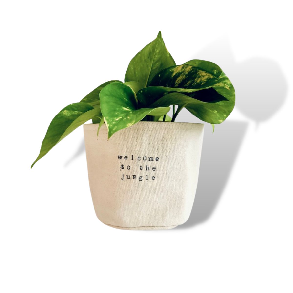 Wholesale Welcome to the jungle Planter