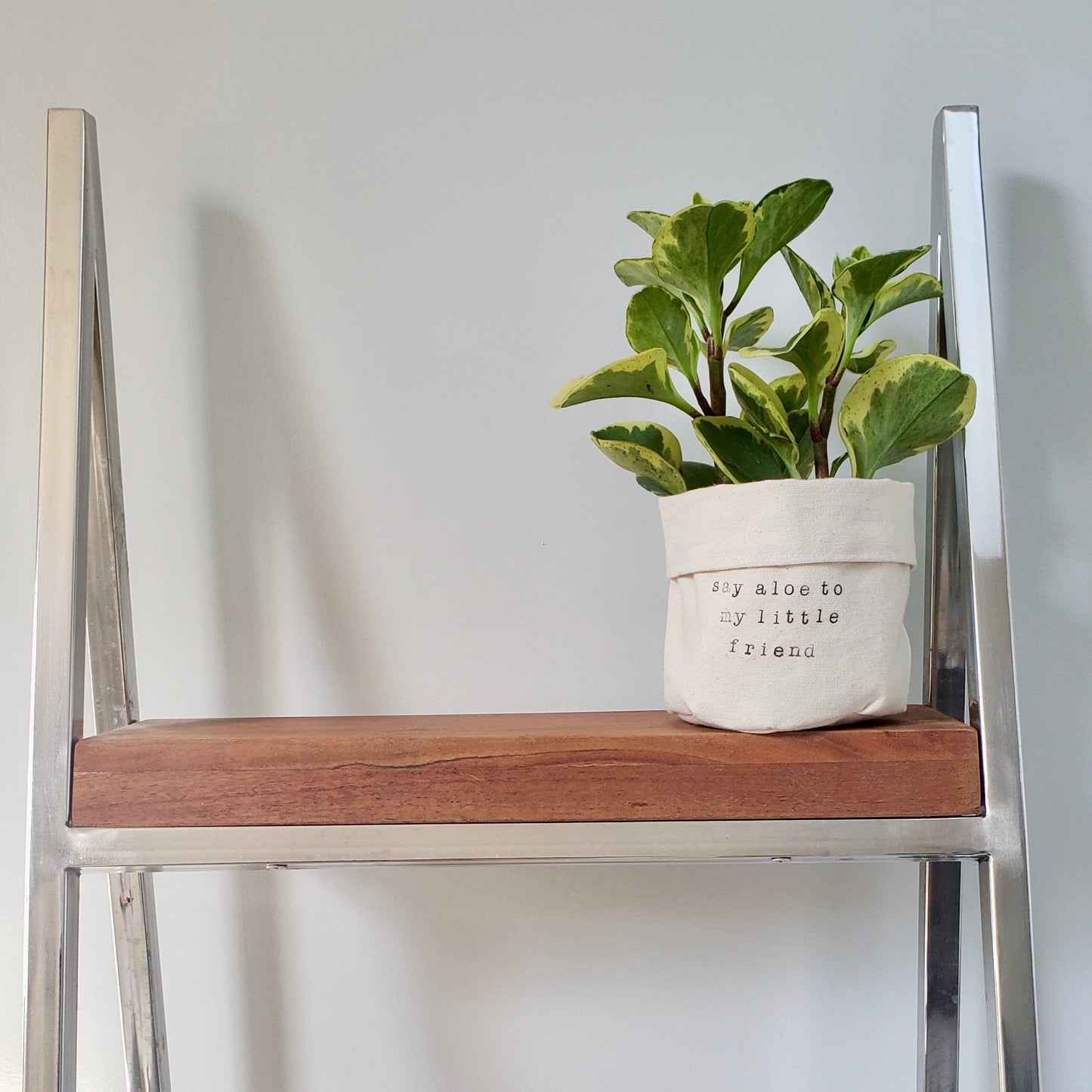 Say Aloe to My Little Friend Planter