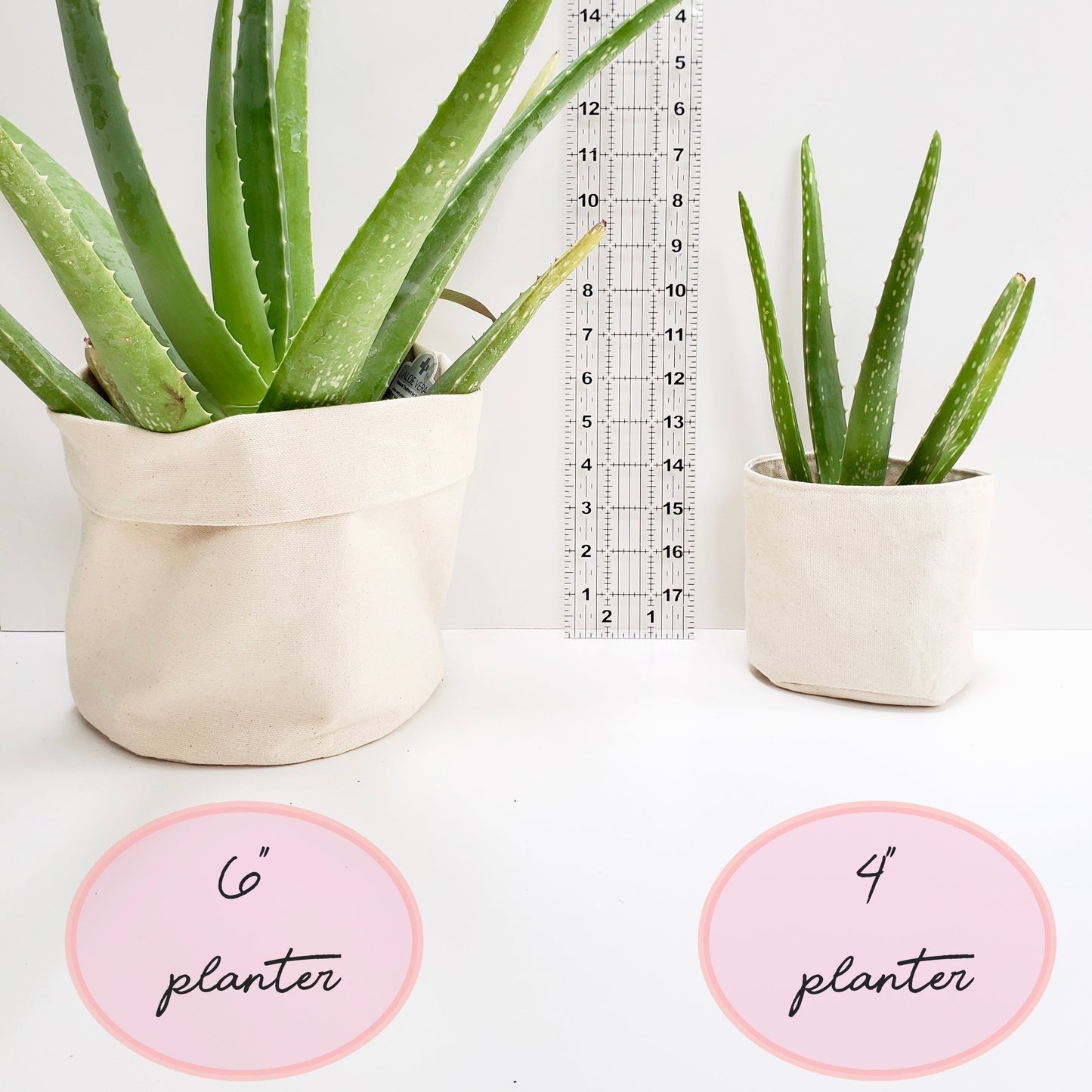Oh, the places you will grow Planter