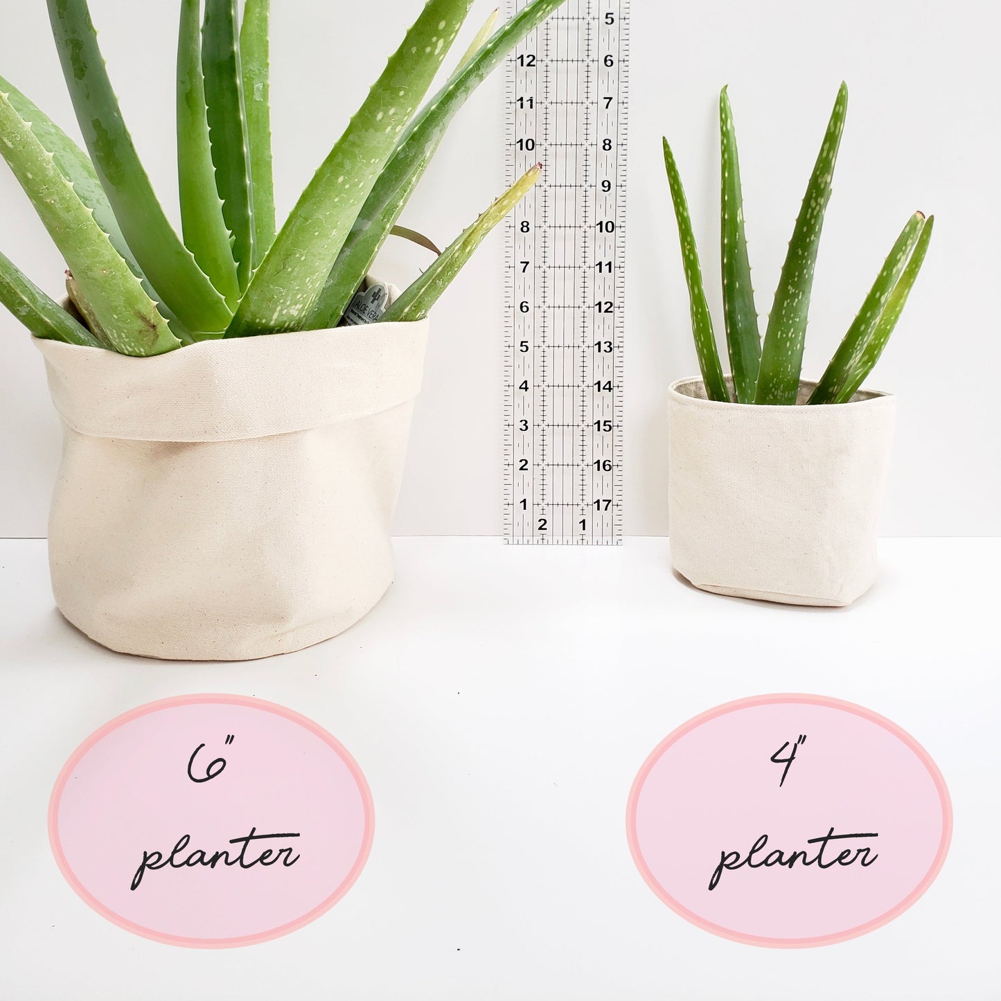 You Grow Girl Planter