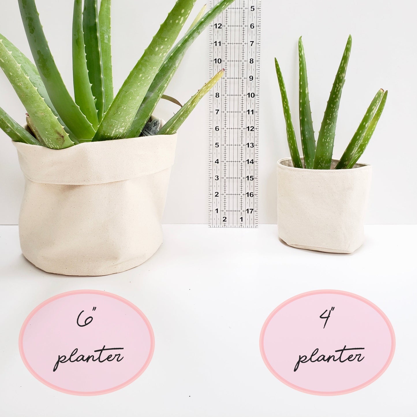 Just Keep Growing Planter