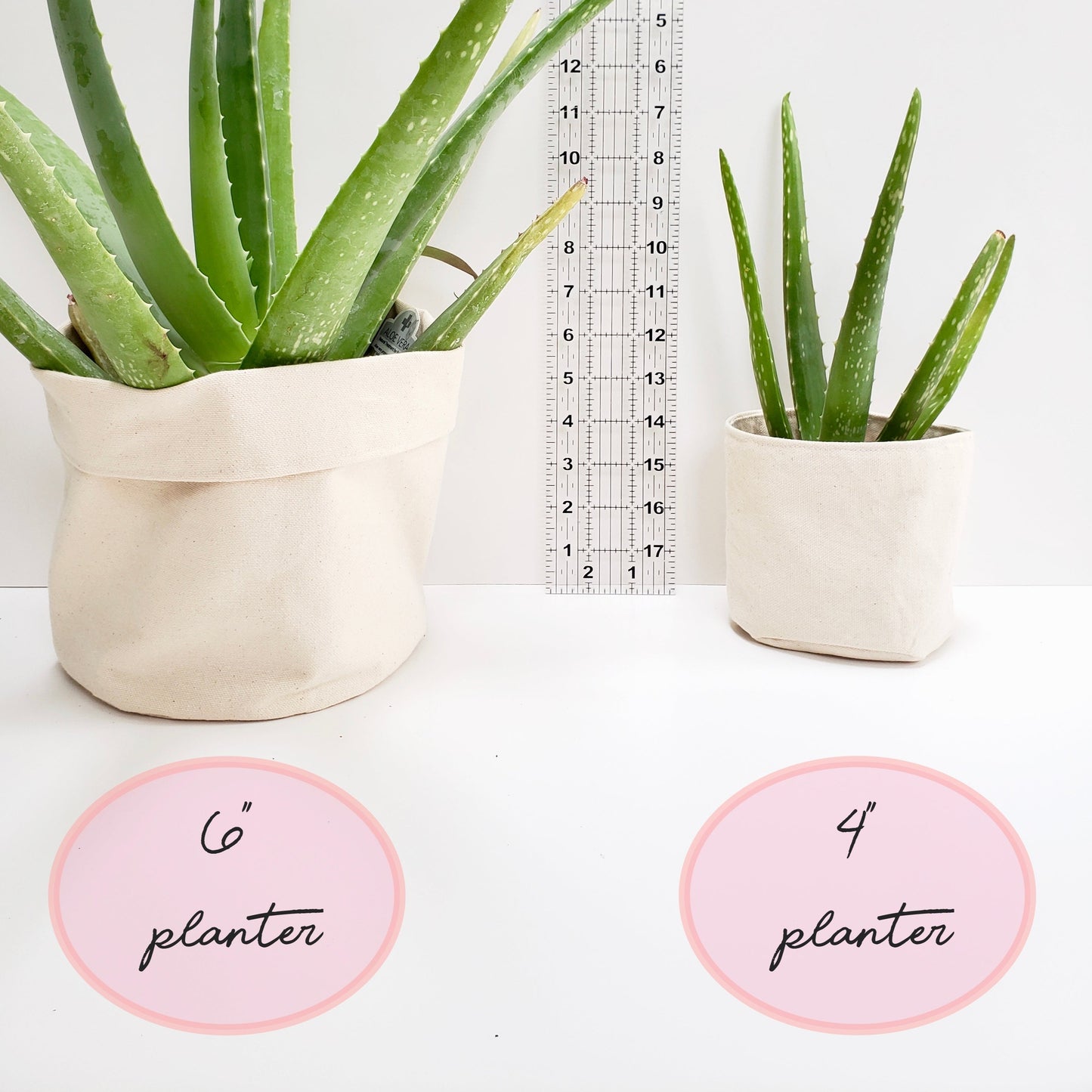 Watch me Grow Planter