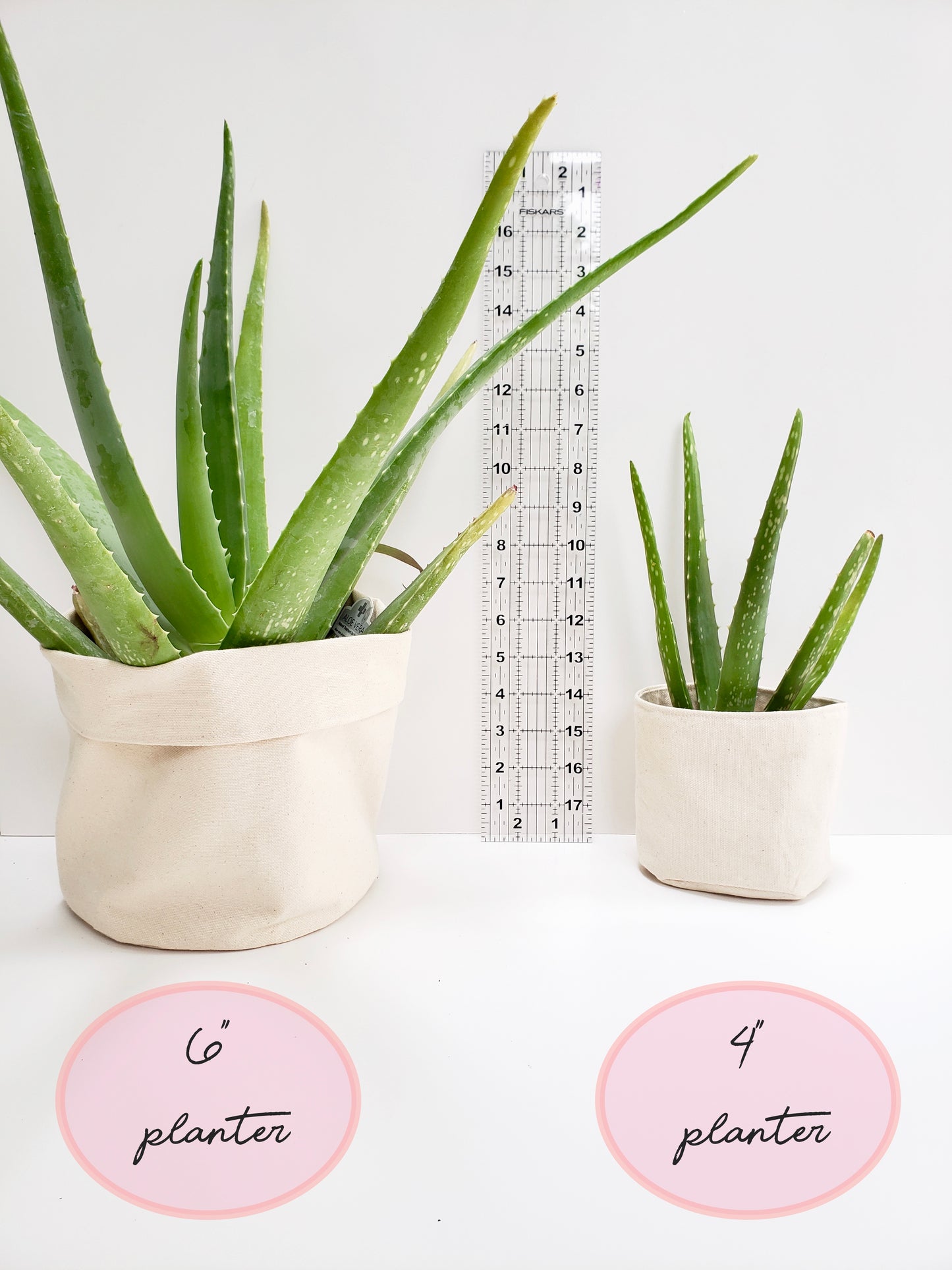 Aloe You Vera Much Planter