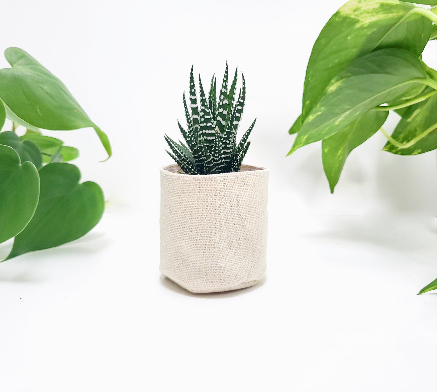 2"  Canvas Planter