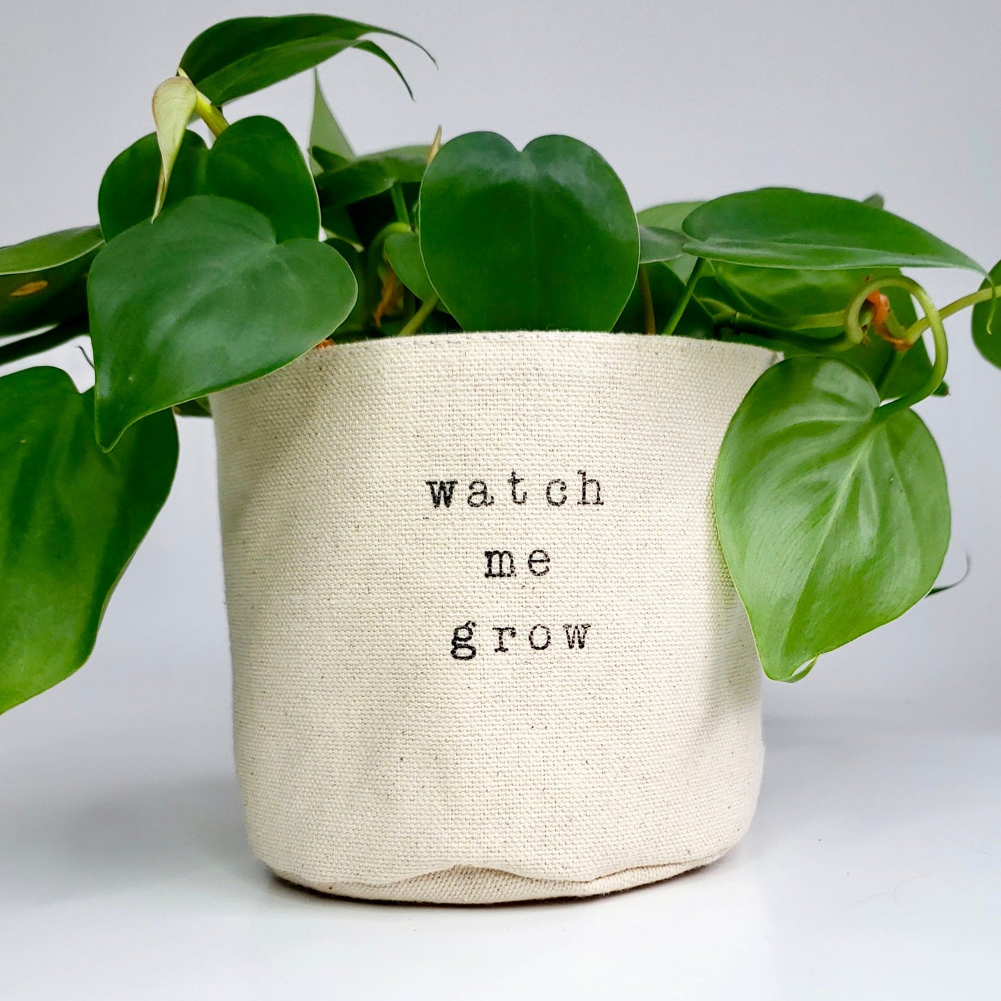 Watch me Grow Planter