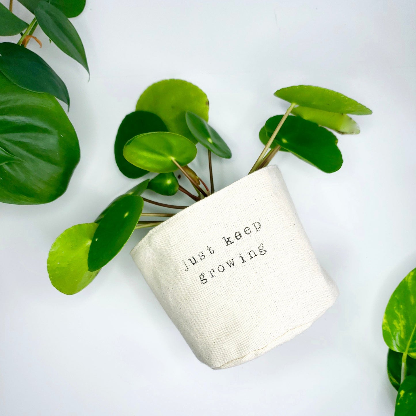 Just Keep Growing Planter