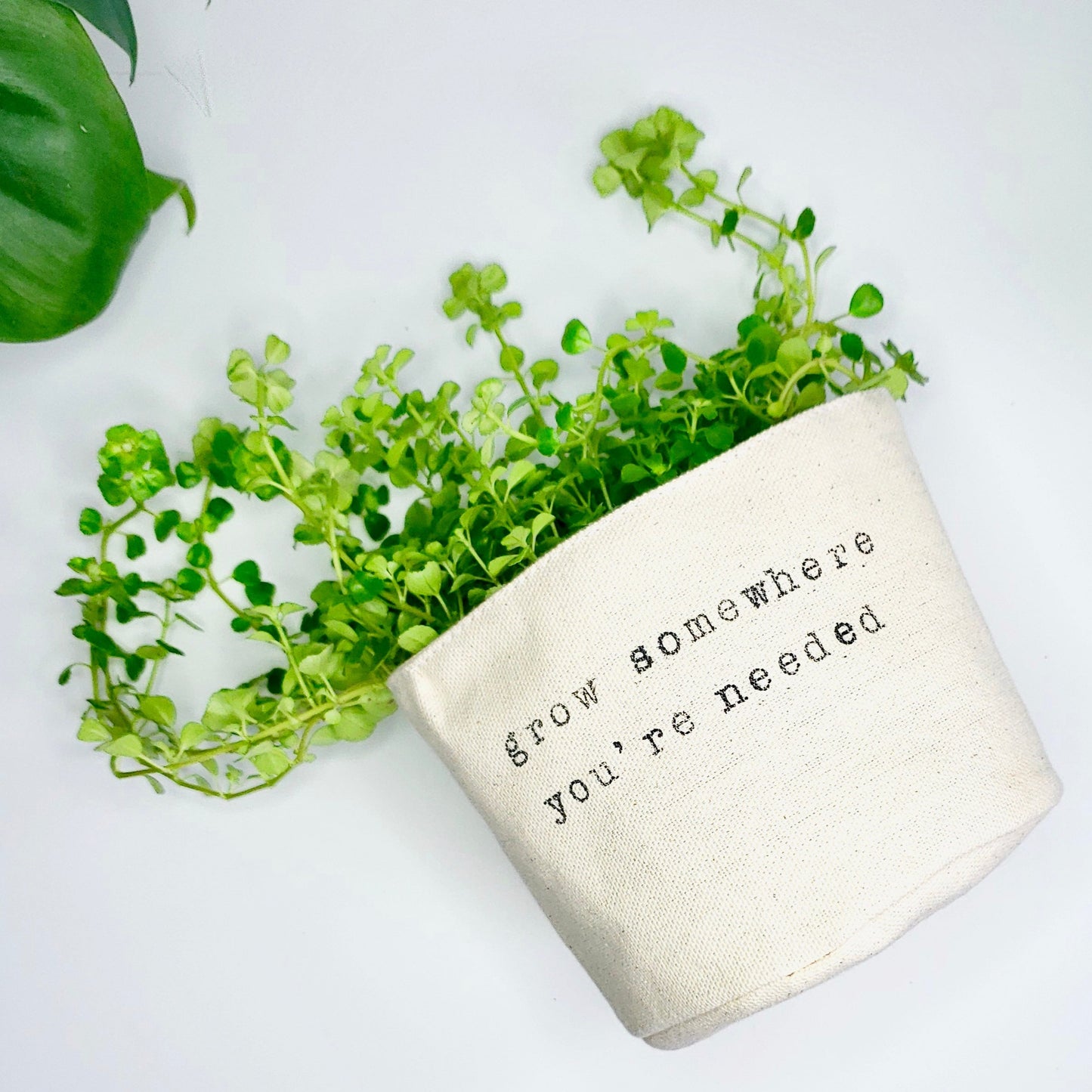Grow Somewhere You're Needed Planter