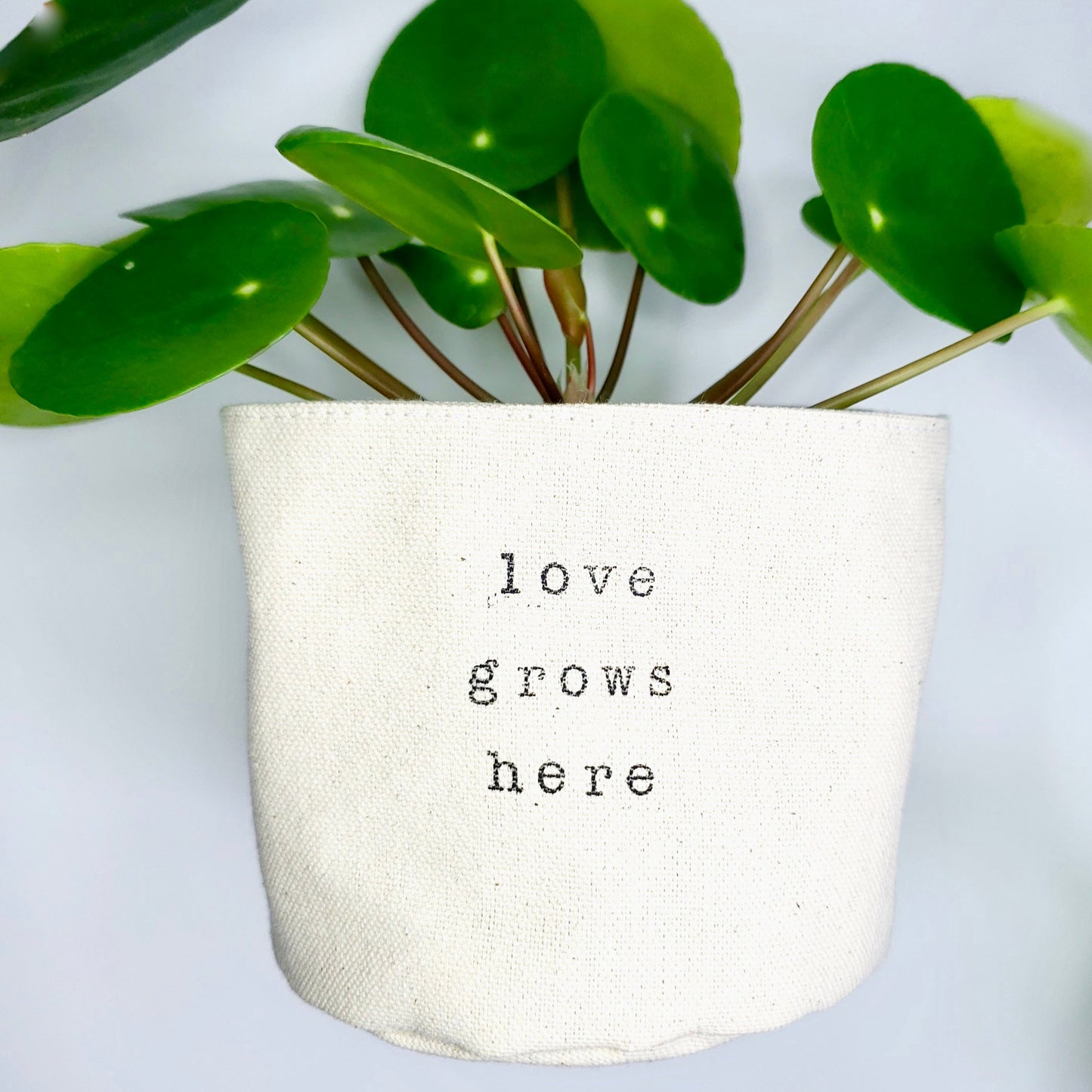 Love Grows Here Planter