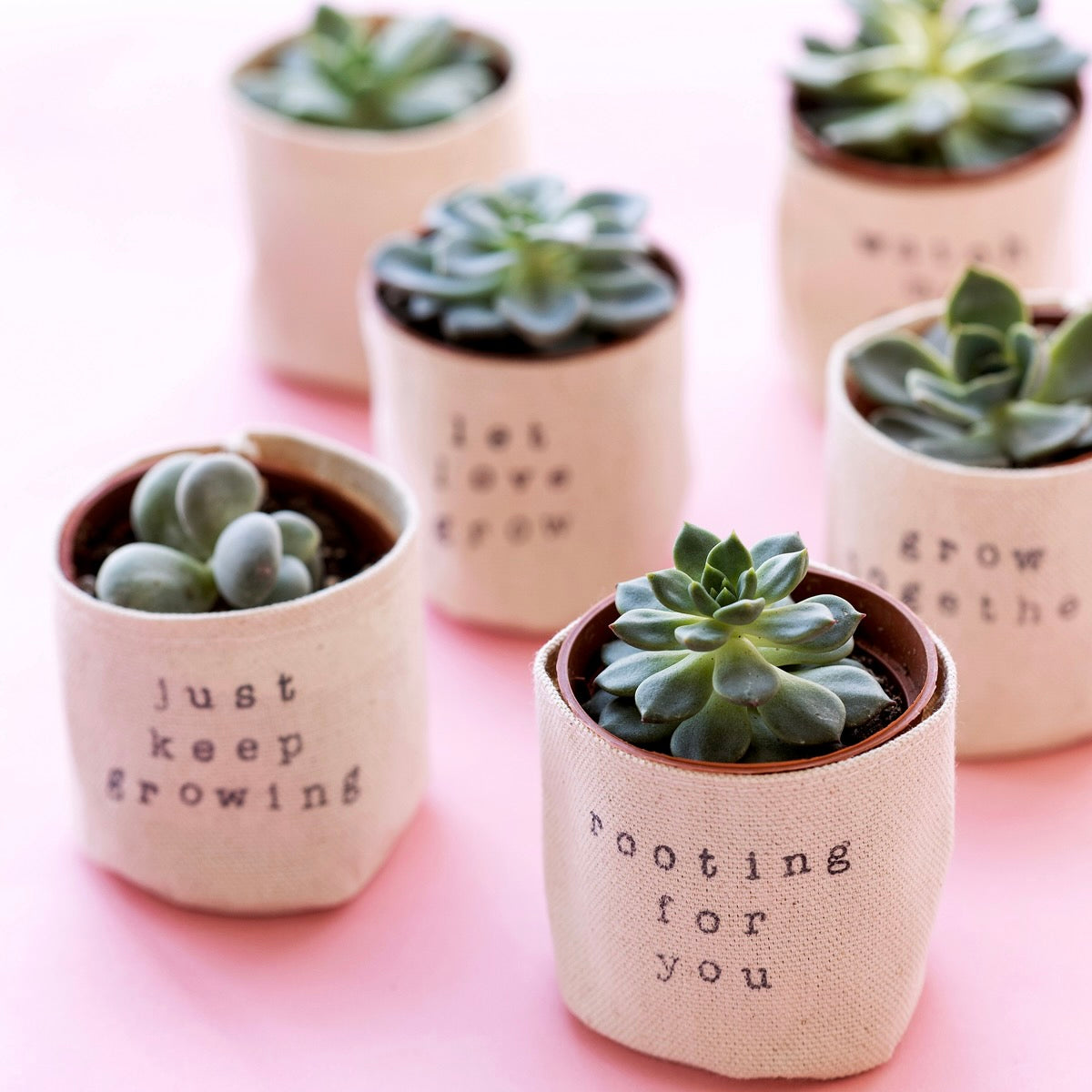 Mini 2" planters