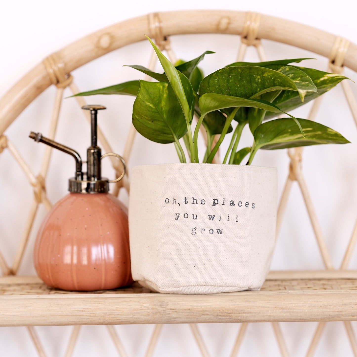 Oh, the places you will grow Planter