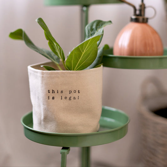 This Pot is Legal Planter