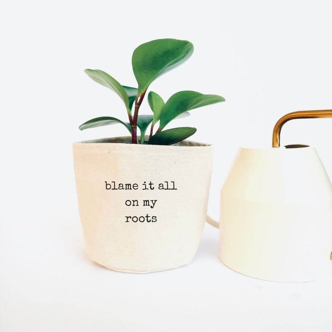 Blame it all on my roots Planter