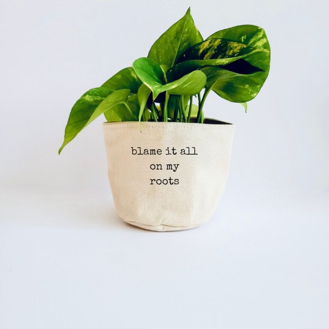 Blame it all on my roots Planter