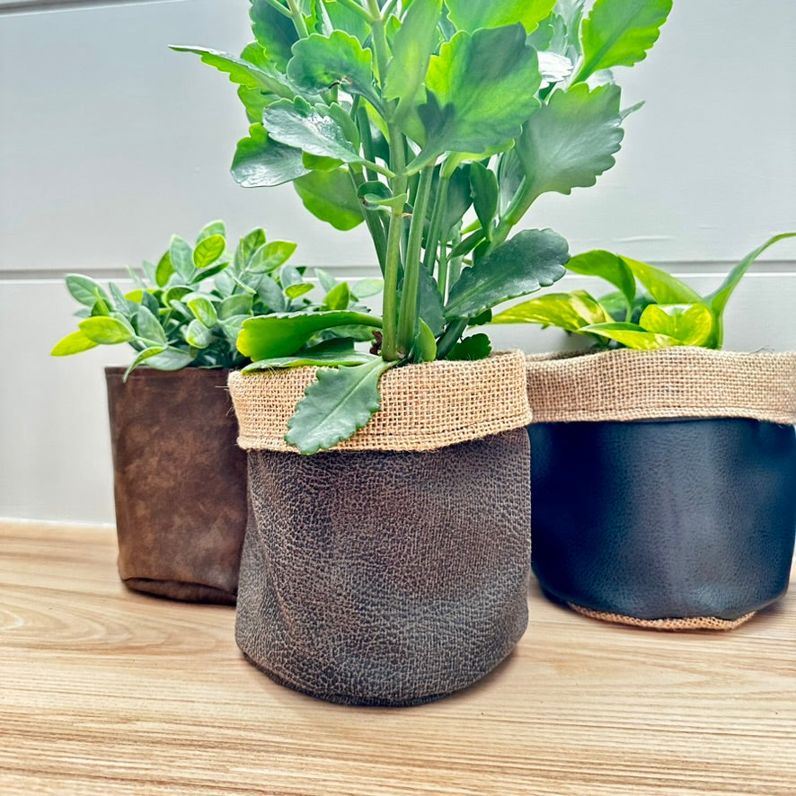 4" Mocha Suede cuffed Plant Pot Cover