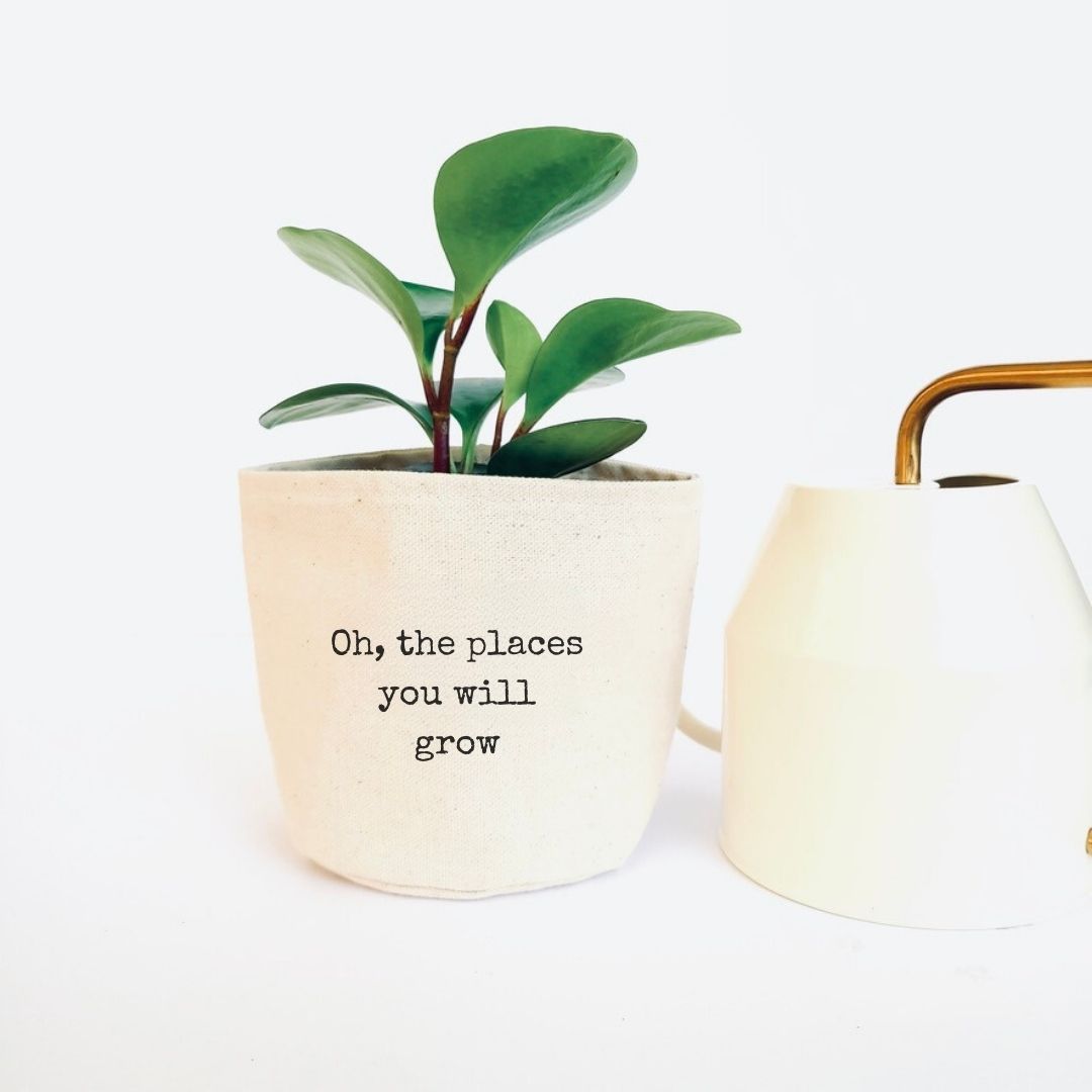 Oh, the places you will grow Planter