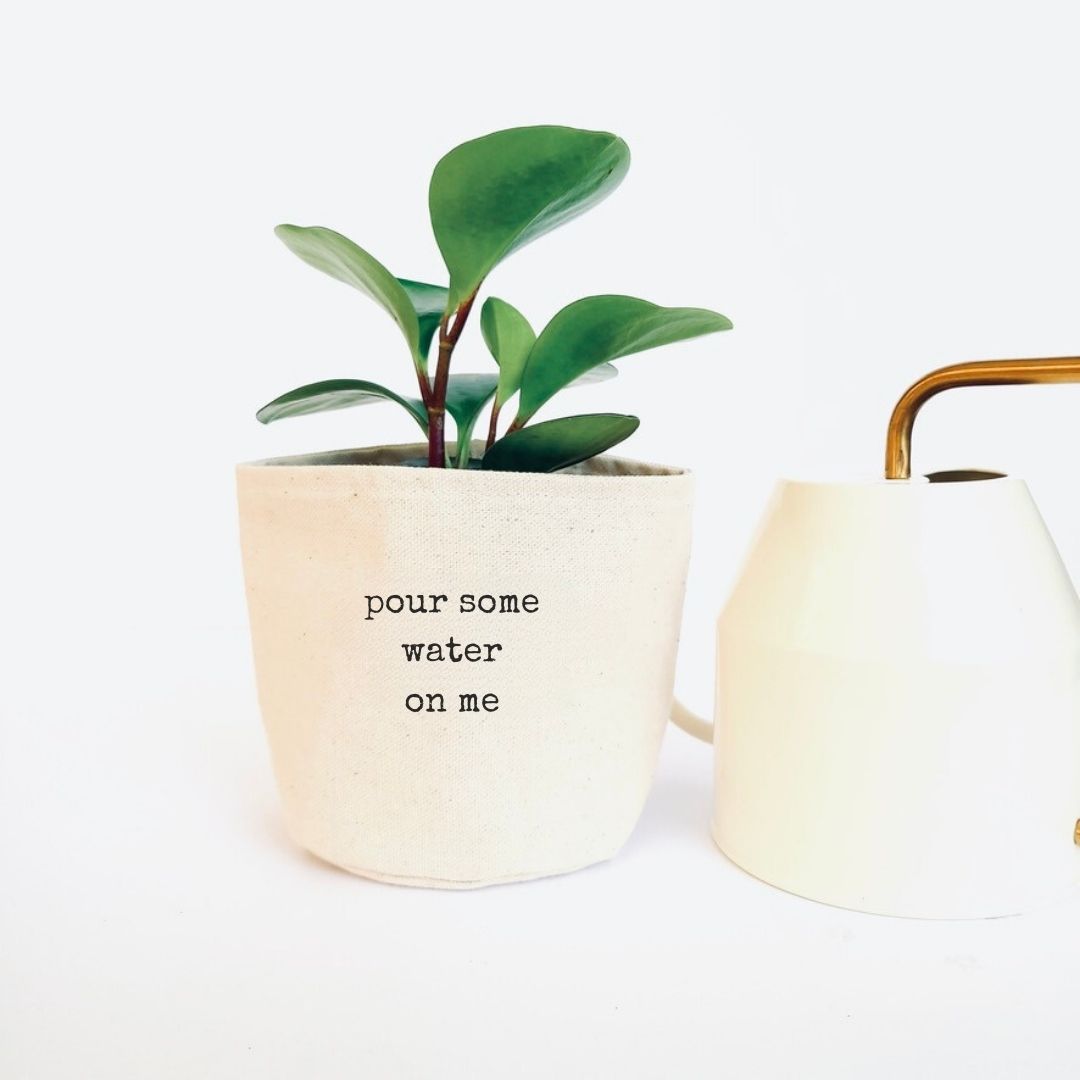 Pour some water on me Planter