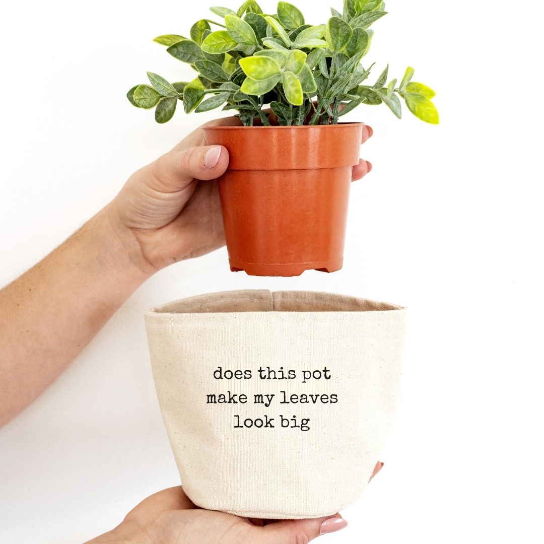 Does this pot make my leaves look big