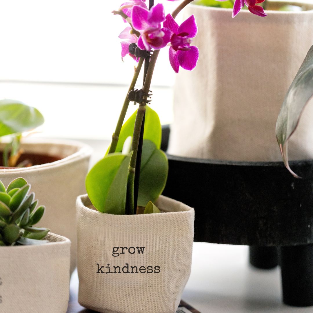 2" Grow kindness