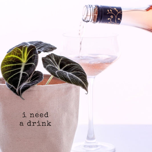 I Need a Drink Planter