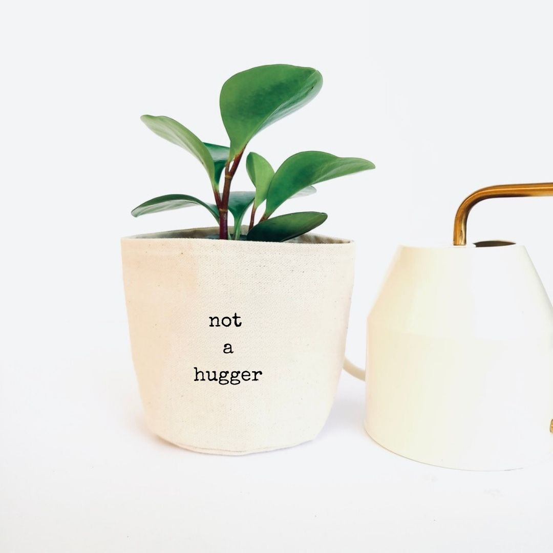 Not a hugger planter