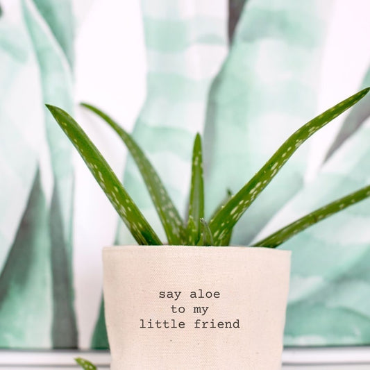 Say Aloe to My Little Friend Planter